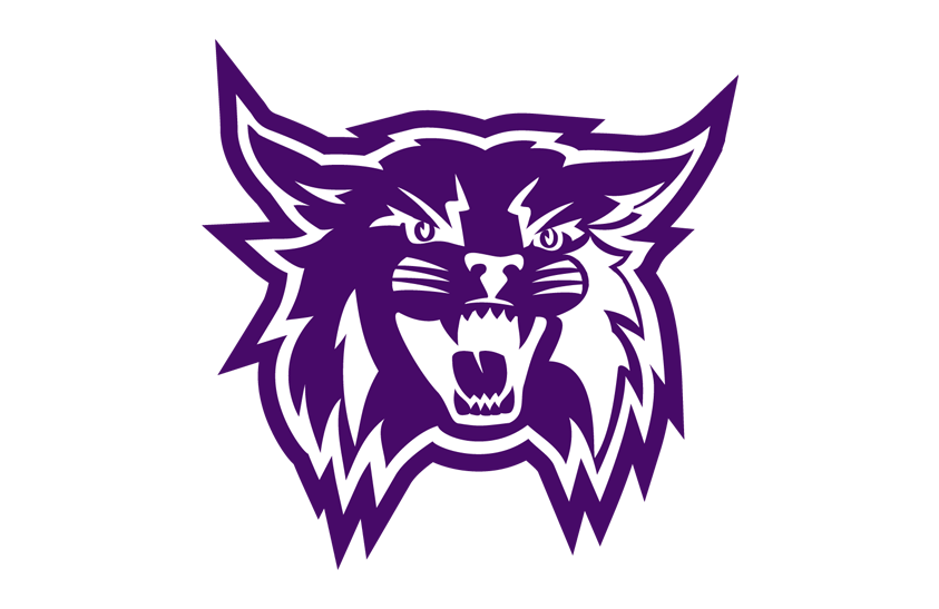 Weber State Wildcats 2022 Helmet Logo diy DTF decal sticker